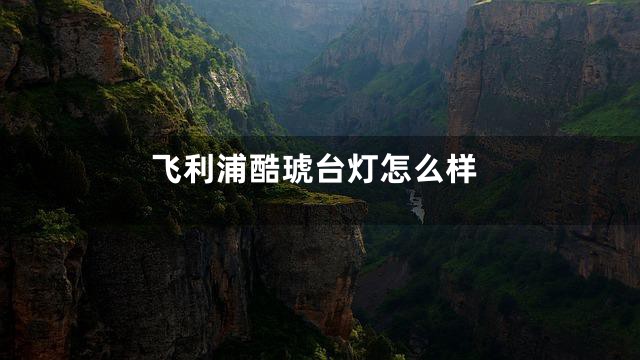 飞利浦酷琥台灯怎么样