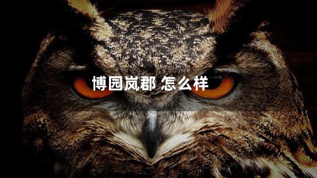 博园岚郡 怎么样