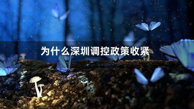 为什么深圳调控政策收紧