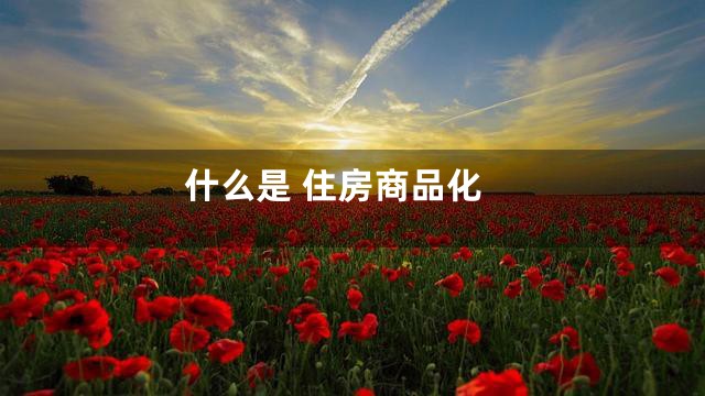 什么是 住房商品化