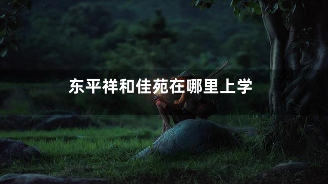 东平祥和佳苑在哪里上学