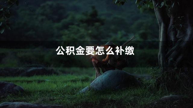 公积金要怎么补缴