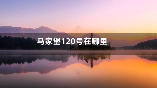 马家堡120号在哪里