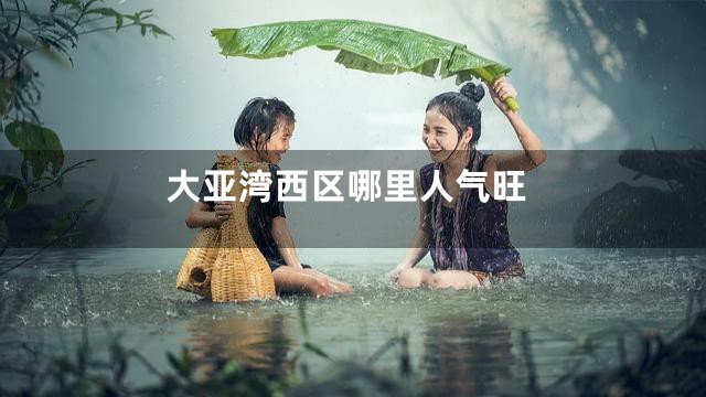 大亚湾西区哪里人气旺