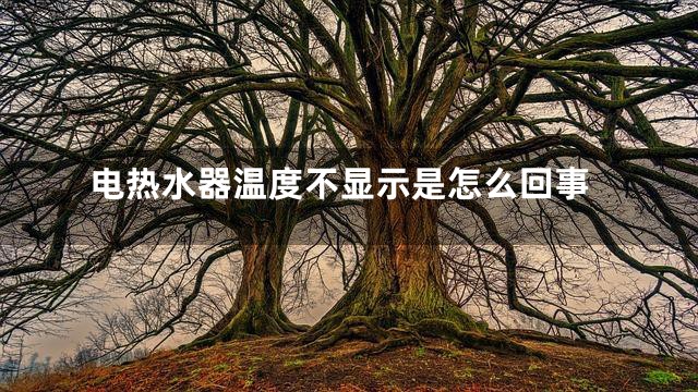 电热水器温度不显示是怎么回事