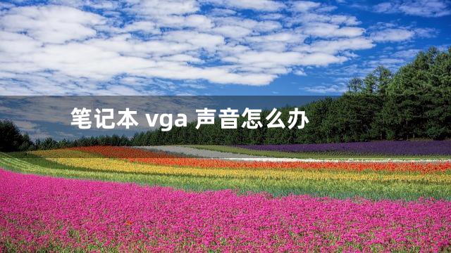 笔记本 vga 声音怎么办