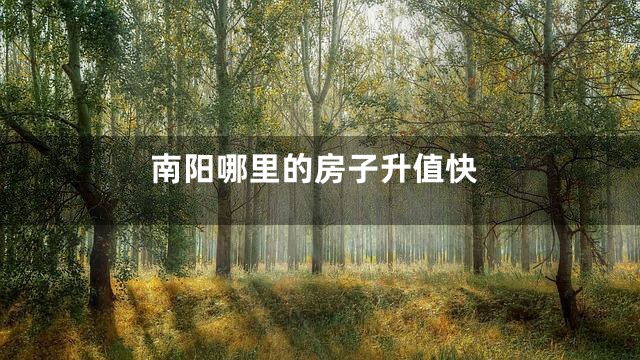 南阳哪里的房子升值快