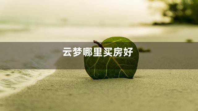 云梦哪里买房好