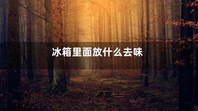 冰箱里面放什么去味