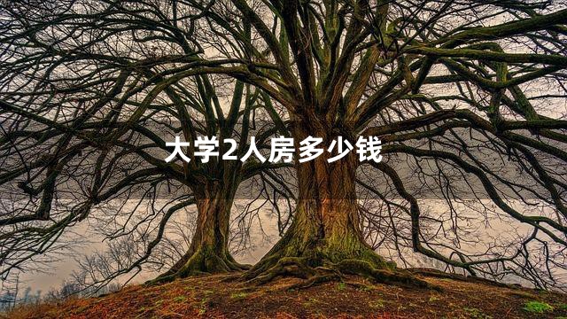 大学2人房多少钱