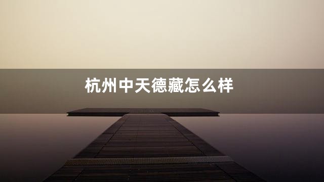 杭州中天德藏怎么样