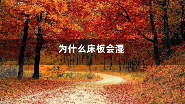 为什么床板会湿