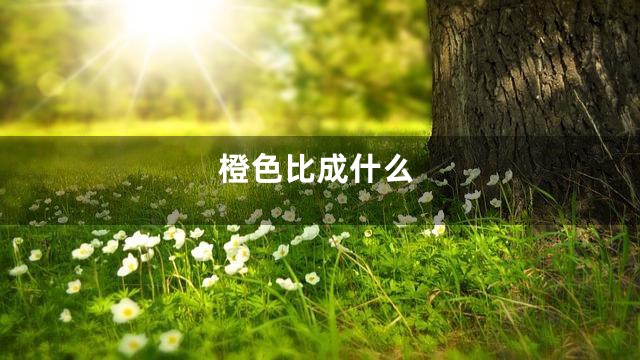 橙色比成什么