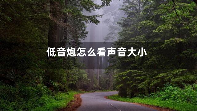 低音炮怎么看声音大小