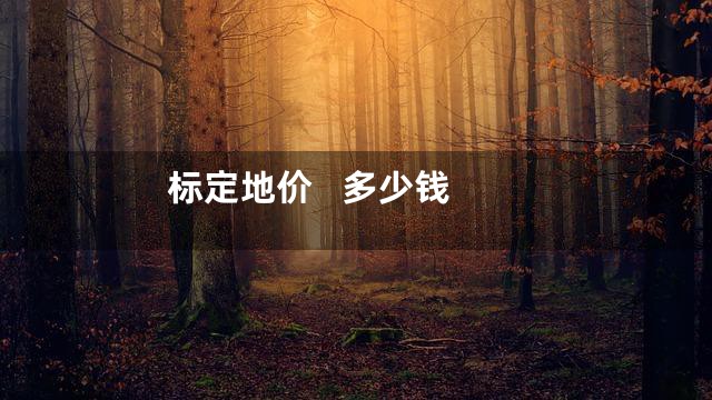 标定地价   多少钱