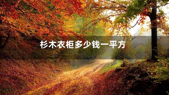 杉木衣柜多少钱一平方