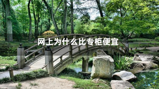 网上为什么比专柜便宜