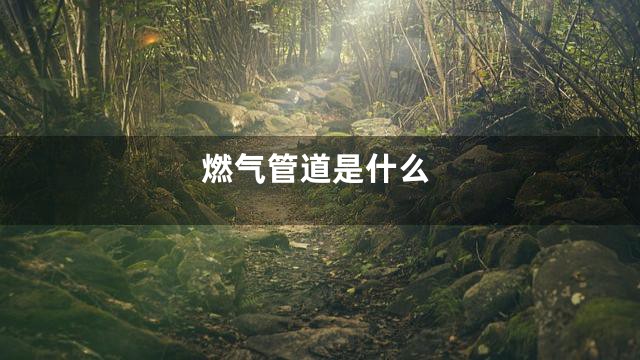 燃气管道是什么