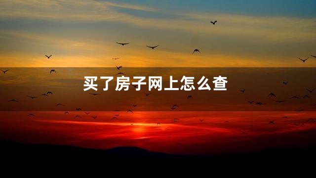买了房子网上怎么查