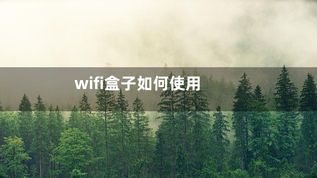 wifi盒子如何使用
