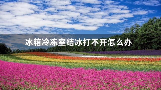 冰箱冷冻室结冰打不开怎么办