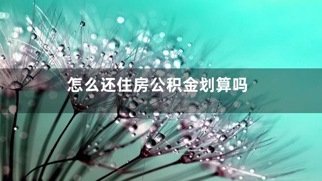 怎么还住房公积金划算吗