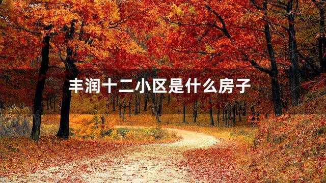 丰润十二小区是什么房子