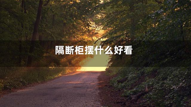 隔断柜摆什么好看