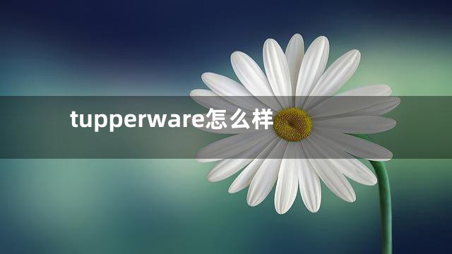tupperware怎么样