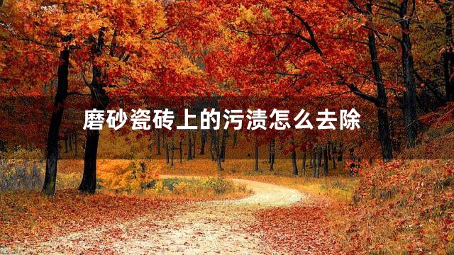 磨砂瓷砖上的污渍怎么去除