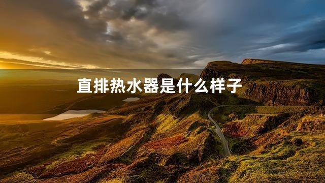 直排热水器是什么样子