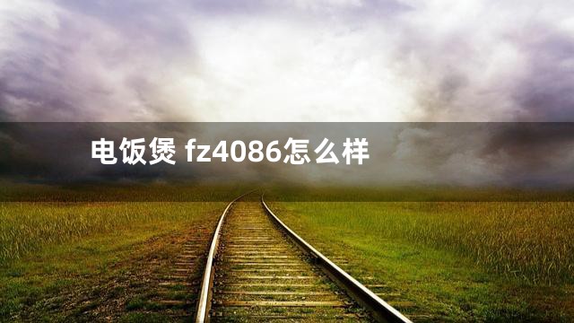 电饭煲 fz4086怎么样