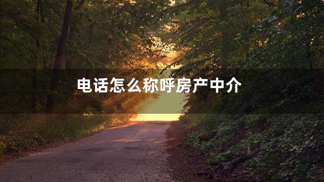 电话怎么称呼房产中介