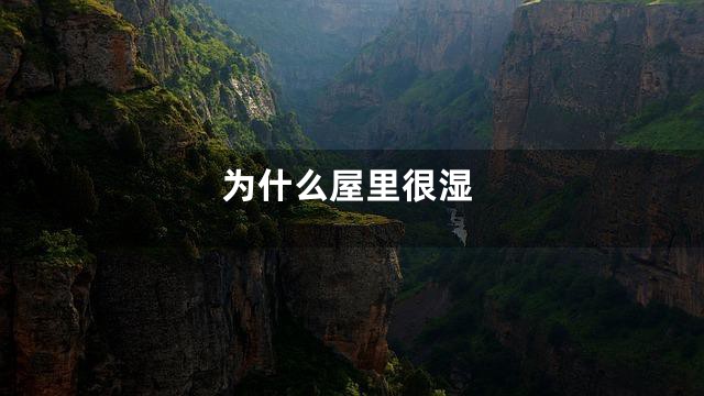 为什么屋里很湿