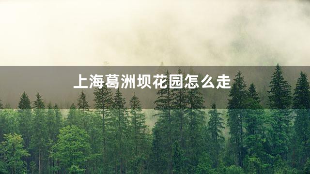 上海葛洲坝花园怎么走