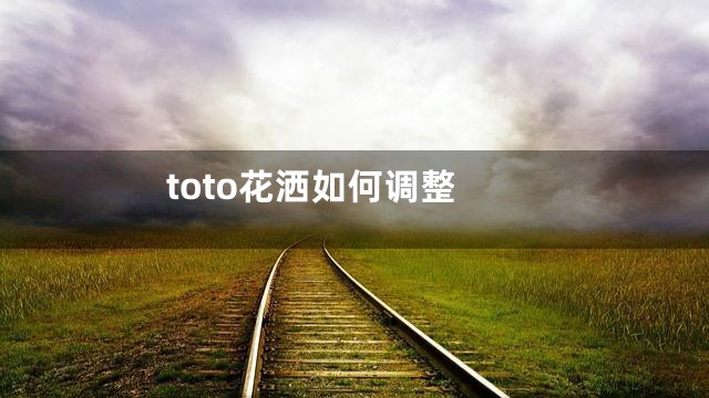 toto花洒如何调整