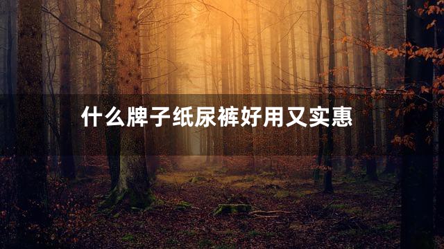 什么牌子纸尿裤好用又实惠