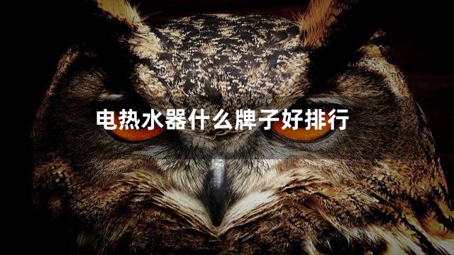 电热水器什么牌子好排行