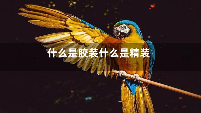 什么是胶装什么是精装