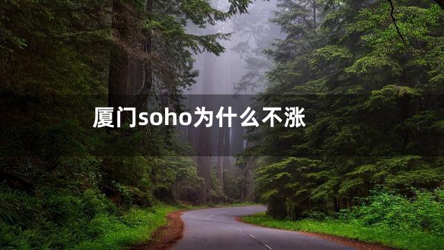 厦门soho为什么不涨
