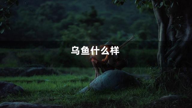 乌鱼什么样