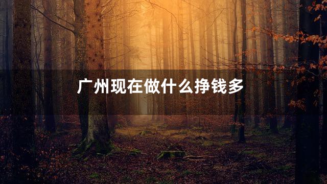 广州现在做什么挣钱多