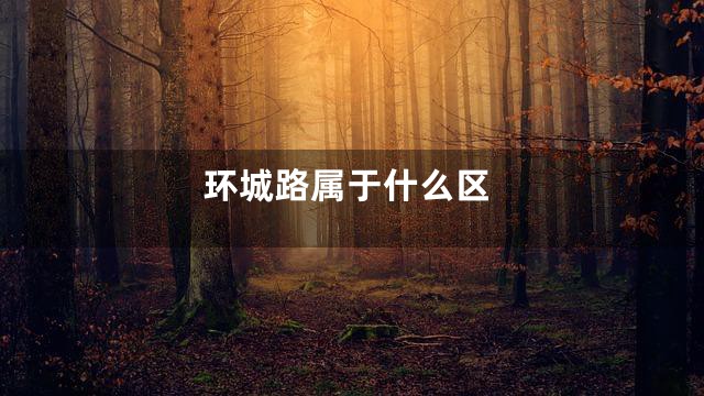 环城路属于什么区