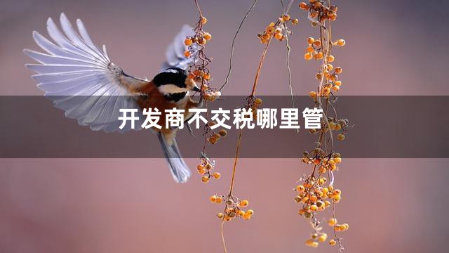 开发商不交税哪里管