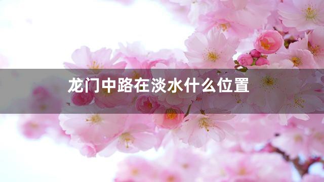 龙门中路在淡水什么位置