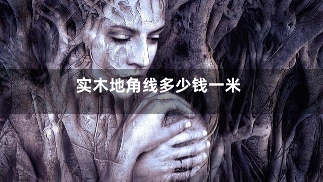 实木地角线多少钱一米