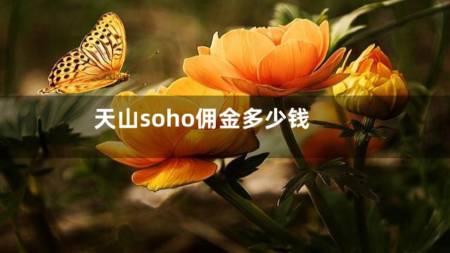 天山soho佣金多少钱