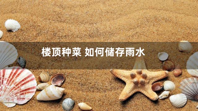 楼顶种菜 如何储存雨水