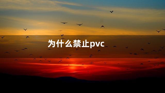 为什么禁止pvc