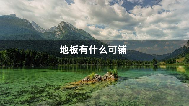 地板有什么可铺